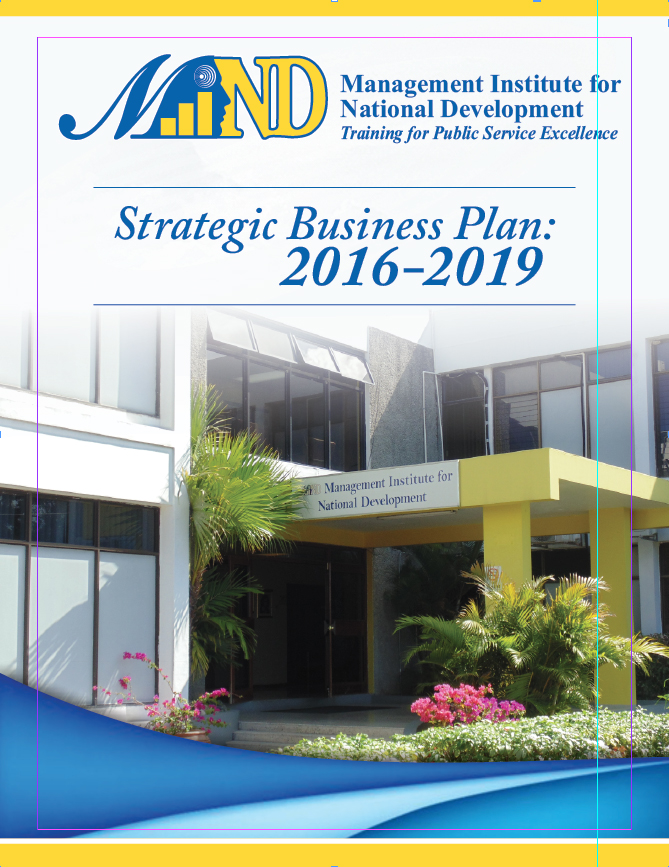 Strategic Business Plan